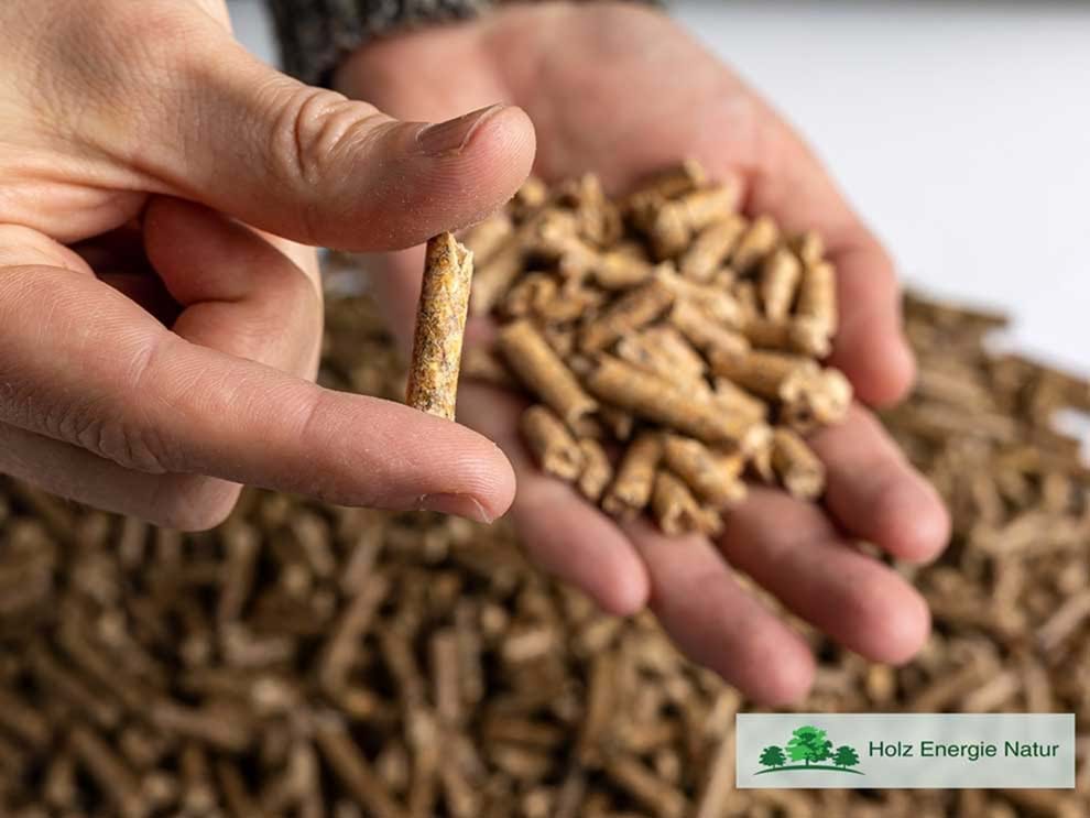 Wer ist Holz Energie Natur